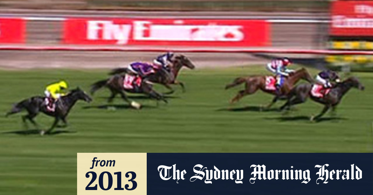 Melbourne Cup 2013 finishing order